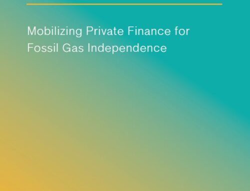 New paper: Mobilizing Private Finance for Fossil Gas Independence